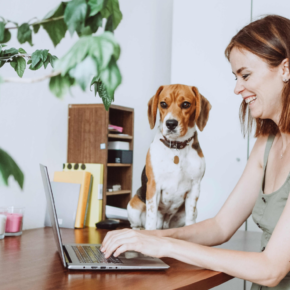 Woman working on a laptop with dog standing on a table next to her.